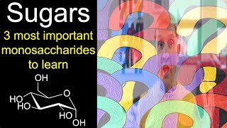 Sugars 3 most important monosaccharides to learn for introductory organic chemistry [upl. by Ahsienom]