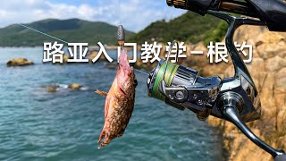 最適合新手入門路亞的玩法，新手也能輕鬆中魚 [upl. by Laryssa67]