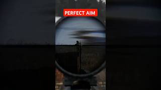 Perfect Sniper AIM dayz dayzgameplay dayzpvp [upl. by Caneghem]