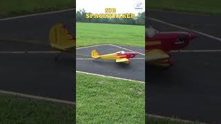 Sig 13 scale Spacewalker is an amazing rc plane [upl. by Haidabej]