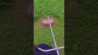 Grass cutting machine [upl. by Etnoid]