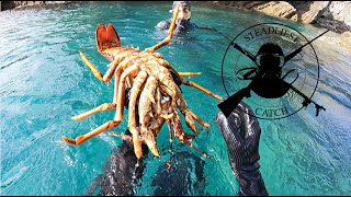 SPEARFISHING DUrville island  Butters Blues and Bugs  Crayfish Catch n Cook  Ep 32 [upl. by Andriana]