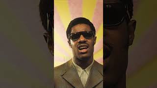 Stevie Wonder Story [upl. by Galanti]