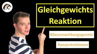 Chemisches Gleichgewicht Massenwirkungsgesetz  Chemie Tutorial [upl. by Byrle]