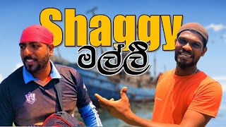 🔴 Shaggy මල්ලි  දිරිය තරුණයකුගේ කතාව  wishwatiyubaya 🏆💯👌 [upl. by Ylime]