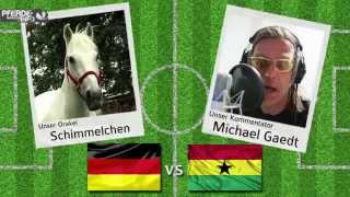 Fußball WM Orakel quotSchimmelchenquot DeutschlandGhana wwwpferdemagazininfo [upl. by Dyann]