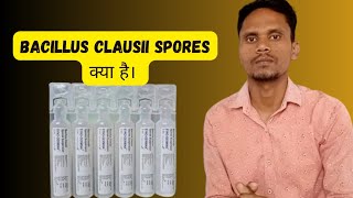 Bacillus Clausii Spores क्या है। Bacillus Clausii Spores Suspension Uses in Hindi। [upl. by Rives]