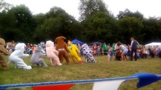 Pig mascot loses its head mascots vs children tug of war [upl. by Yekciv375]