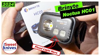 Brinyte HC01 Noctua Review 1000 Lumen Headlamp amp Beam Tests [upl. by Ewolram765]