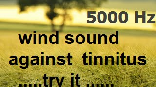 One Hour wind at 5000 Hz as sound therapy for tinnitus 5 KHz [upl. by Nothgiel744]