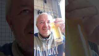 Beestonia Blonde  Quick Beer Review [upl. by Hiasi]