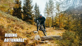 LA STAGIONE PERFETTA PER I TRAIL ALPINI  Lagorai Trentino ⛰️🍂 [upl. by Abbe]