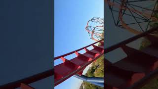 SheiKra  Busch Gardens Tampa Bay  Front Seat POV [upl. by Rachelle785]