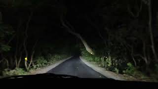 Pilibhit tiger reserve night real life review [upl. by Adnilre]