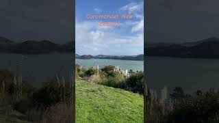 Started our journey in New Zealand at Coromandel New Zealand has the most beautiful landscapes [upl. by Aisyat]