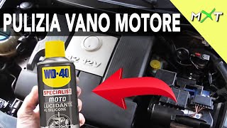 COME PULIRE IL VANO MOTORE  Veloce e Facile con WD40 [upl. by Vasya680]