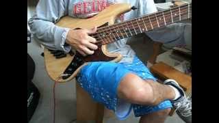 SMartyn Jazz Bass Fanned 6 Strings [upl. by Notniuqal366]