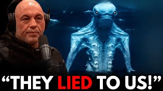 Joe Rogan Tells Us What The Navy Saw While Diving in the Ocean [upl. by Herates]