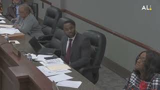 Tarrant City Council Meeting Freakout [upl. by Ennovahc483]