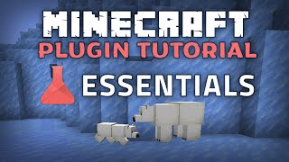 Essentials Plugin Minecraft 121 Guide [upl. by Papageno]