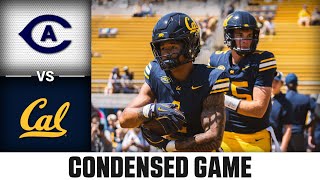 UC Davis vs Cal Condensed Game  2024 ACC Football [upl. by Alegre]