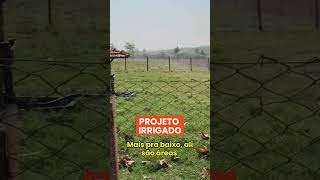 CONFIRA ESSE PROJETO PARA 230 ANIMAIS EM 12 HECTARES shorts [upl. by Anauqahc493]