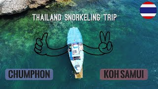 Best Snorkeling in Thailand  Koh Samui  Chumphon [upl. by Naivatco734]