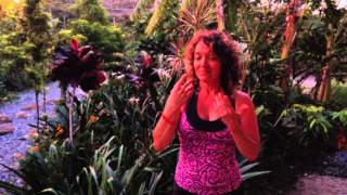 Deafhood Yoga® Testimonial Mary Chimelak [upl. by Adnovay]