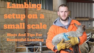 Lambing On A Small Scale Hints And Tips For Successful Lambing [upl. by Esenwahs]