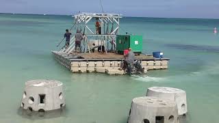 Artificial Reef at Mont Choisy [upl. by Ammadis]