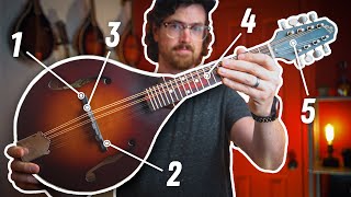 How to SETUP a Mandolin in 5 Steps [upl. by Croteau]