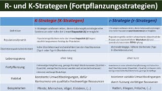 R und KStrategen Fortpflanzungsstrategien  Biologie Ökologie Oberstufe [upl. by Salvucci]