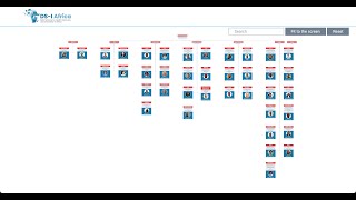 DSI Africa Organogram Demo [upl. by Chesney]