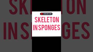 SKELETON IN SPONGES [upl. by Pammy]