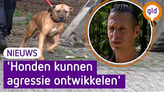 Waarom bijten honden hun eigen baasje [upl. by Schuman428]