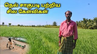 nel vivasayam in tamil  Rice cultivation  former review  2022 [upl. by Corabella48]