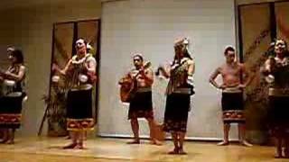 New Zealand Auckland  Maori Ball Dance Auckland Museum [upl. by Anesusa681]