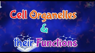 Cell Organelles amp their Functions cell cellularorganelles organelle organelle Functions [upl. by Robby]