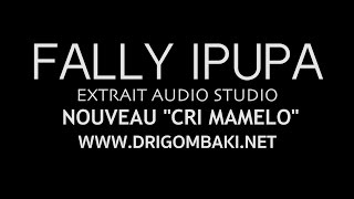 FALLY IPUPA  EXTRAIT AUDIO STUDIO NOUVEAU CRI quotMAMELOquot [upl. by Nylhtak]