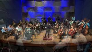 Israel Chamber Orchestra Beethoven Symphony 3 quotEroicaquot 1st movement [upl. by Ally891]