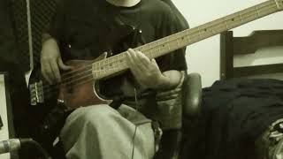 pinegrove  need 2 BASS cover [upl. by Eseilana]