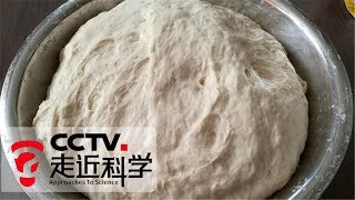 《走近科学》物从何处来 · 酵母：能吃能喝能穿还能抹脸的酵母菌 20181020  CCTV走近科学官方频道 [upl. by Rafaelle854]