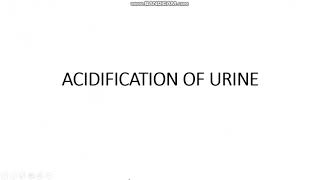 Acidification of urine [upl. by Rickart40]