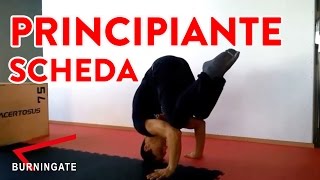 🔴 CALISTHENICS PRINCIPIANTE SCHEDA 📋 COMPLETA 3 SEDUTE [upl. by Giraldo964]