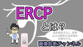 医療用語のERCPとは？図を用いてわかりやすく解説！ [upl. by Justinn]