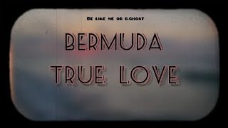 BERMUDA  True Love Dina ft MrSlang [upl. by Diarmuid59]