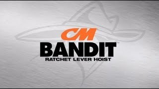 CM Bandit Hoist  Compact amp Lightweight US Model [upl. by Adile]