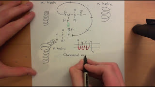 G Protein Coupled Receptors Part 2 [upl. by Vandyke21]