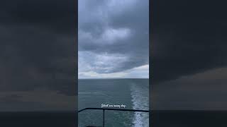 Silent sea beauty day☮️🫶 marine sealife ship travelvlogs [upl. by Einnek591]