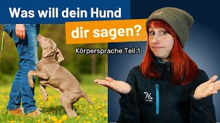 Körpersprache der Hunde  DAS will dein Hund dir sagen [upl. by Mundford]